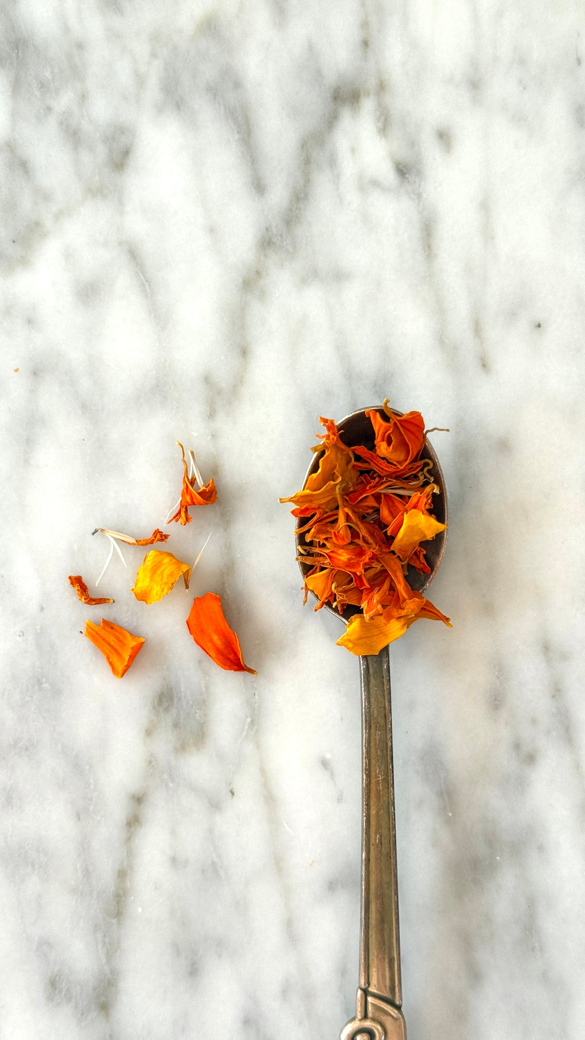 Marigold